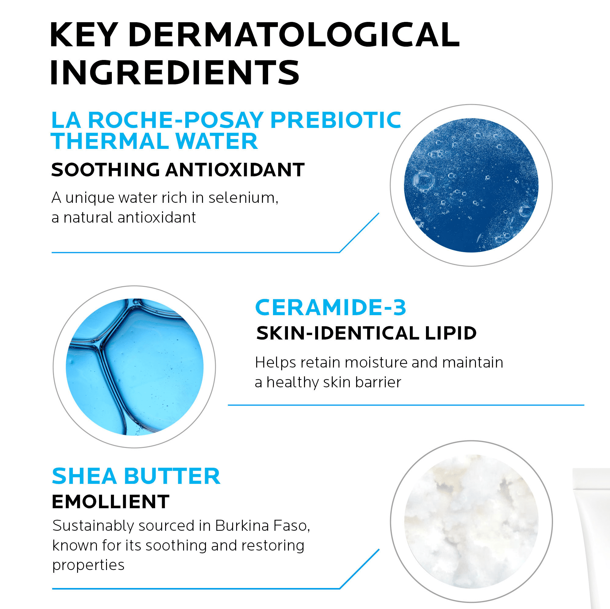 La Roche-Posay Lipikar AP+Max Triple Repair Moisturizing Cream, Body Cream for Dry Skin, 6.76 fl oz